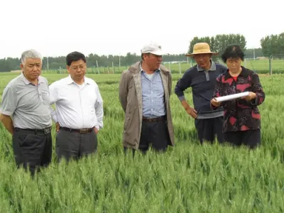 山農(nóng)大農(nóng)學(xué)院院長孔令讓，研究