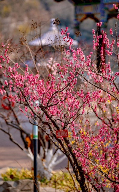 0818982d373eb5fbcc632dbb5addaada_0 0818982d373eb5fbcc632dbb5addaada_0