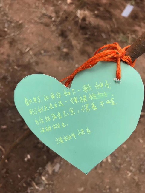 172764a75cc4b2245fc312f01c39db58_0 172764a75cc4b2245fc312f01c39db58_0