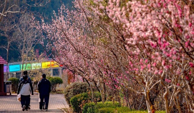 23f8f596ac1c9abe0c94f63fb6784086_0 23f8f596ac1c9abe0c94f63fb6784086_0