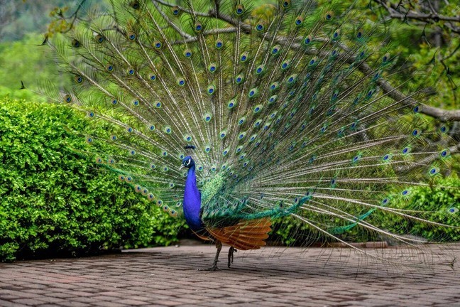 2e14ed0bc68287dd1a32630188ad69c1_0 2e14ed0bc68287dd1a32630188ad69c1_0