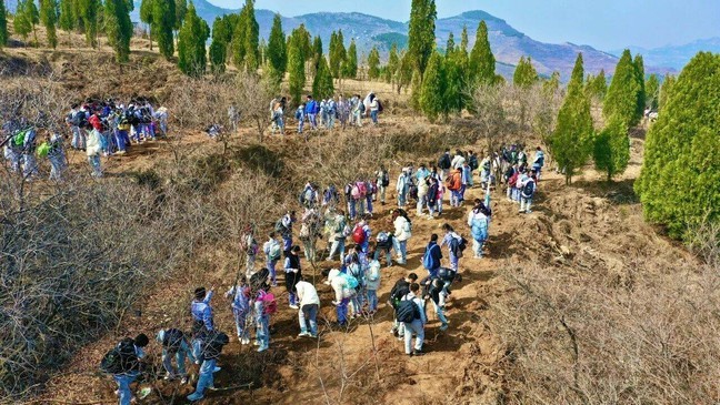 2eddb91b2c2629a44418c31f09aeb008_0 2eddb91b2c2629a44418c31f09aeb008_0