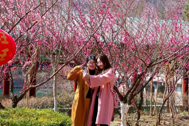 58f56bc12769560c2631c74985bc01f0_0 58f56bc12769560c2631c74985bc01f0_0