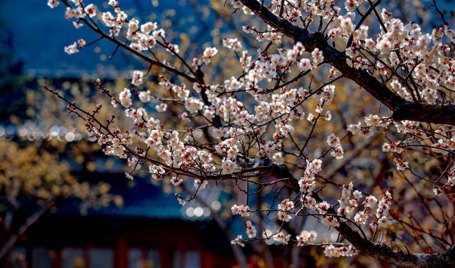 6efb4dd79e473fc5cd7b12e4210bfdf6_0 6efb4dd79e473fc5cd7b12e4210bfdf6_0