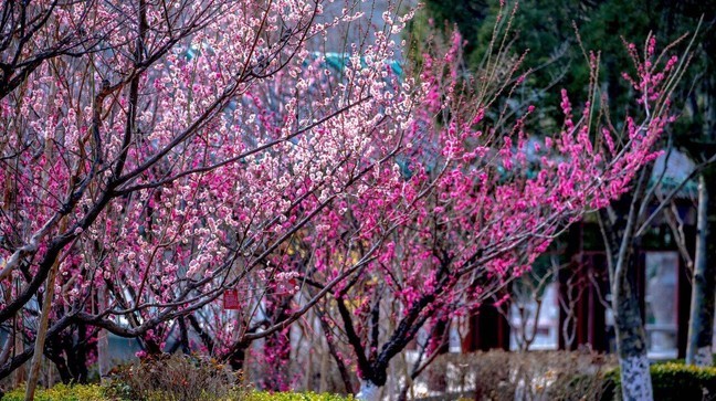 b4ffa5053a65e225ebd53f8452445b6f_0 b4ffa5053a65e225ebd53f8452445b6f_0