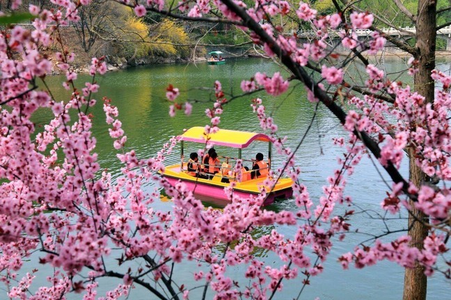 cfd915d547992e48a377d139db1b4c06_0 cfd915d547992e48a377d139db1b4c06_0