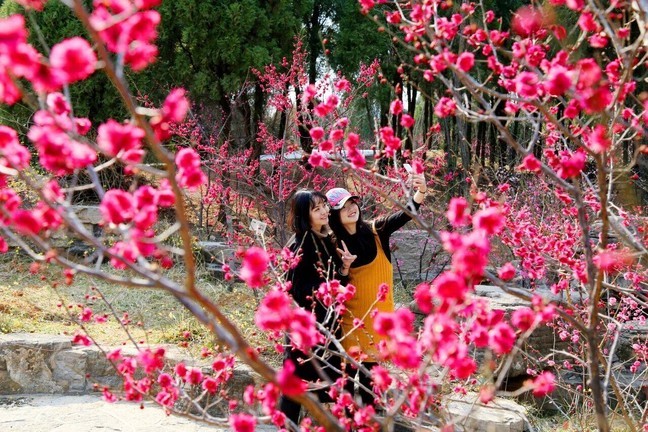 ebedce1ff82bb757fb5fc862fc94392b_0 ebedce1ff82bb757fb5fc862fc94392b_0