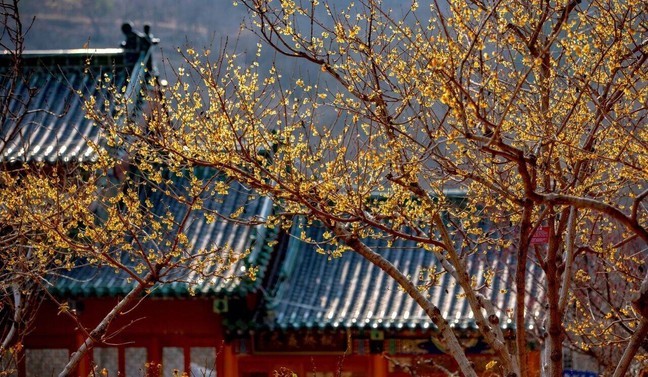 f87397b65843b3a65e1688483c4e6511_0 f87397b65843b3a65e1688483c4e6511_0