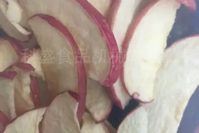 蘋(píng)果，桃，山楂低溫油炸機(jī)