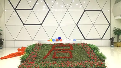 節(jié)慶花卉