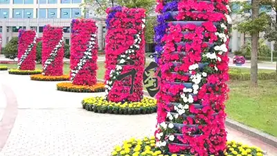 節(jié)慶花卉