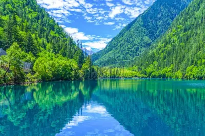 缙云山自然保护区重现绿色