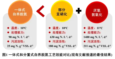 城市污水主流厌氧氨氧化处理工艺的选择
