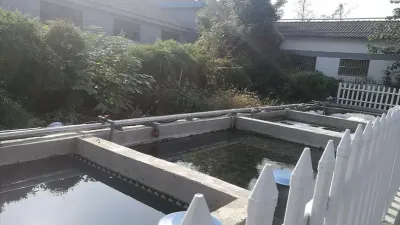 含磷废水处理
