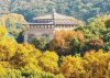 武漢大學