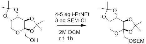 SEM-Cl-图2.png