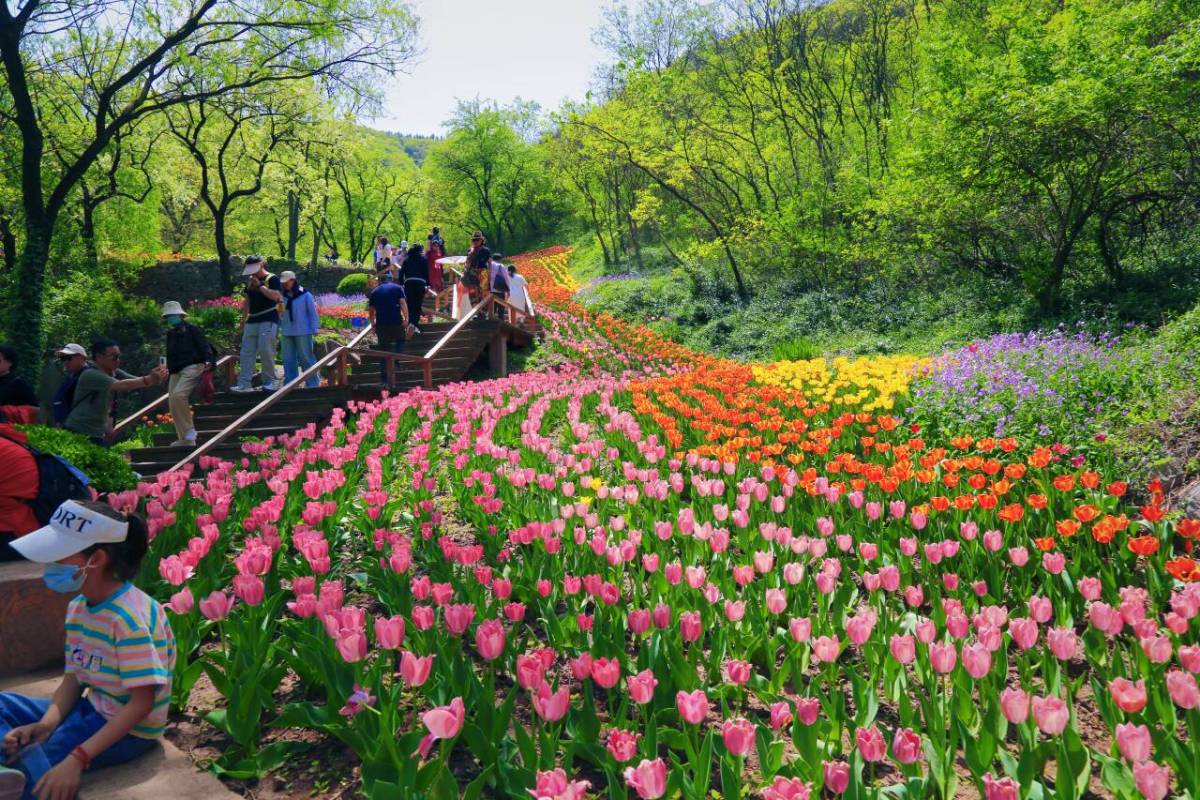 754143e4f907f13e011ec8372eadc288_720