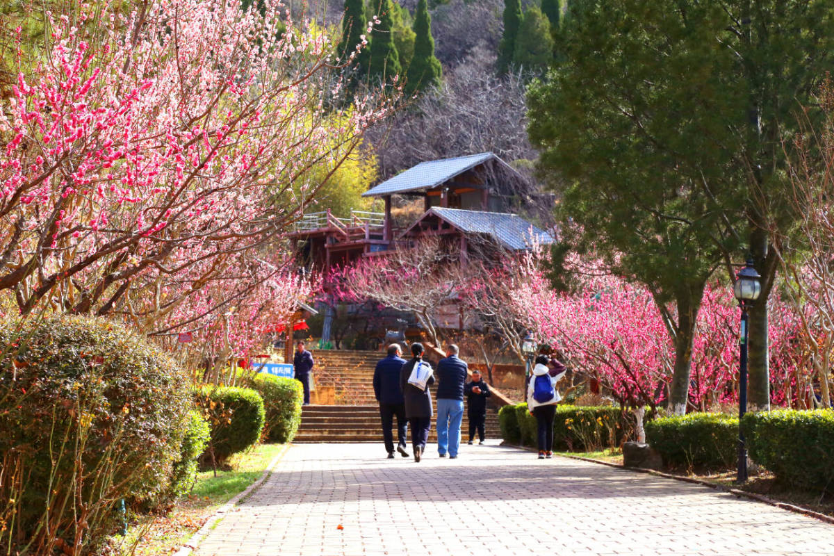 93f52d3555d6184e86ef6c726b63d56f_720