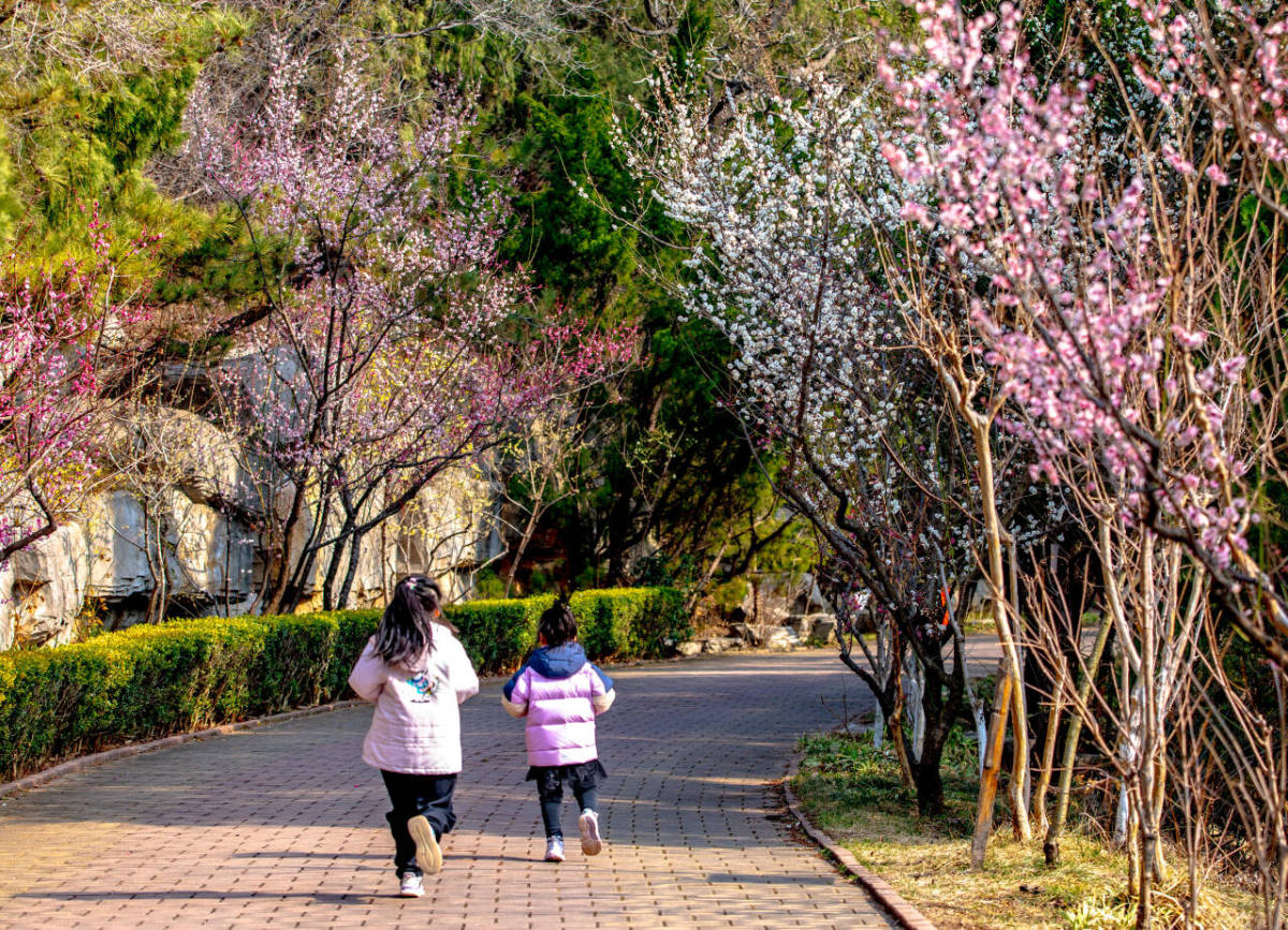 bf7c856a5ff47cdcafb59ba9fa7f9105_720