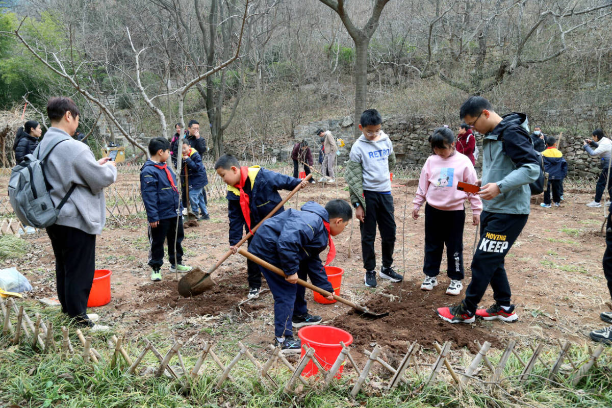 c0c188b78863a0926c3b8335451af151_720