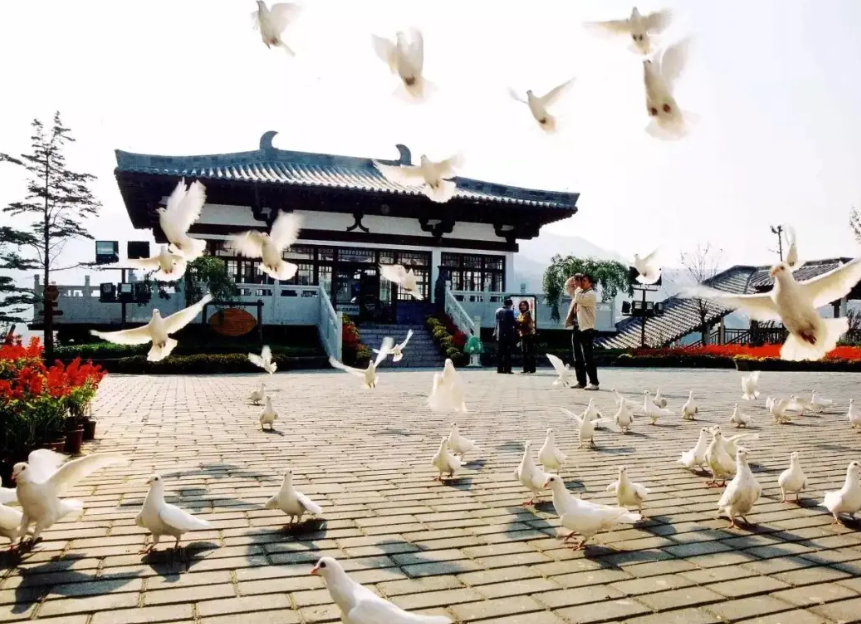 QQ截图20240304110236.png