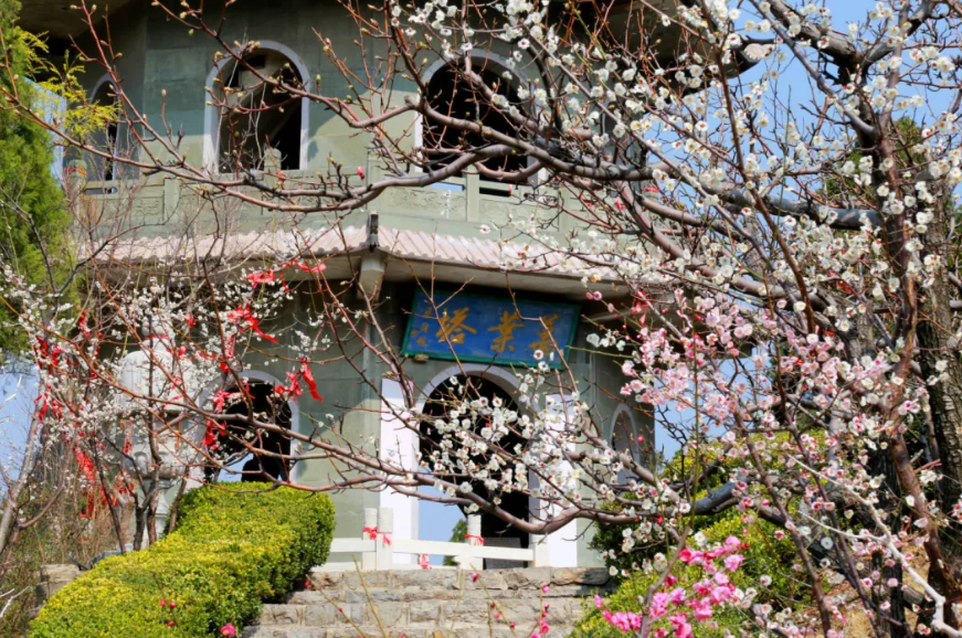 QQ截图20240304110544.png