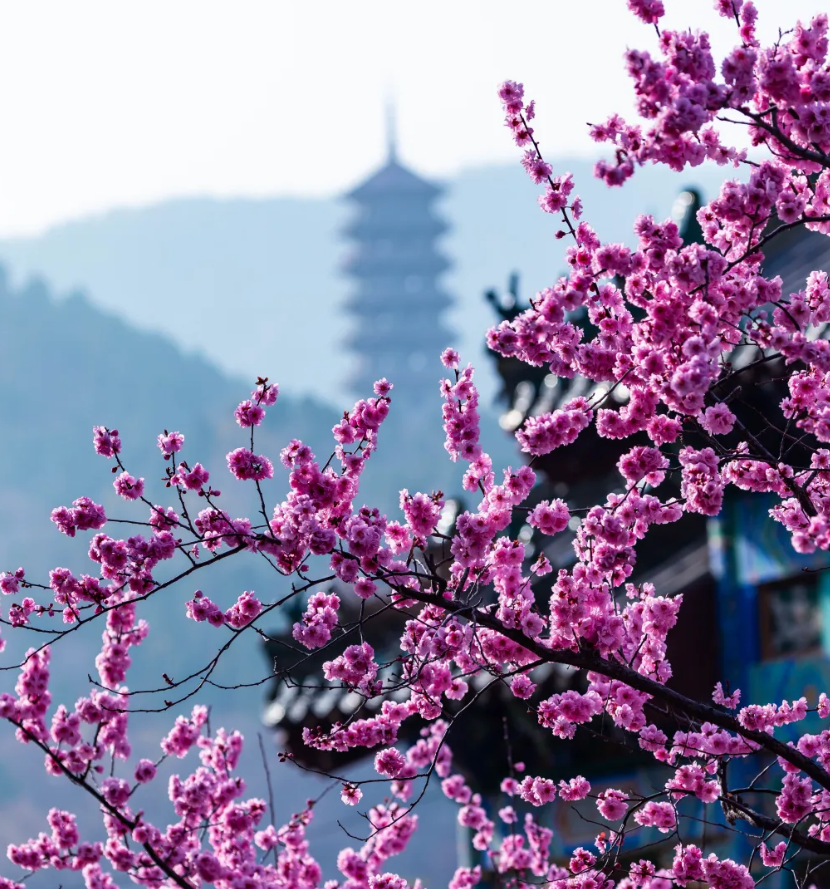 QQ截图20240304110550.png